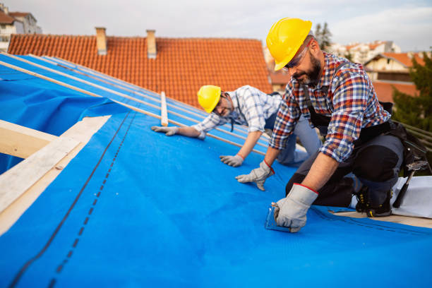 Fast & Reliable Emergency Roof Repairs in Quincy, MI